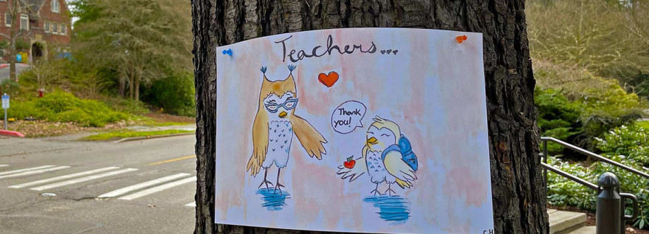 Cauta In Reteaua Scolara Cover Image