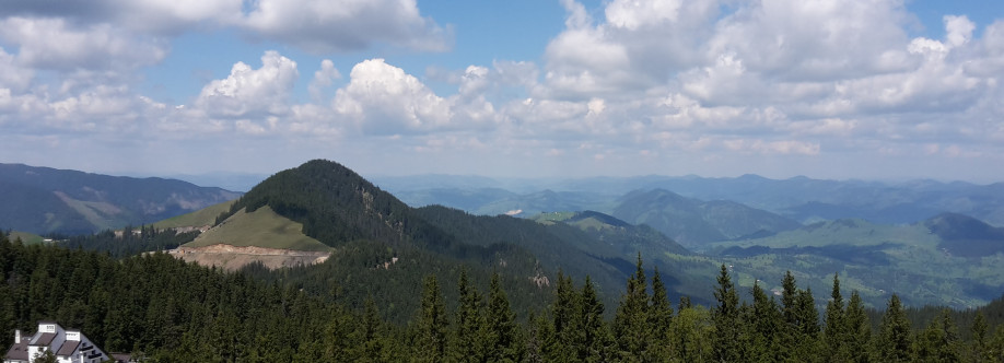 Noutăți Cover Image